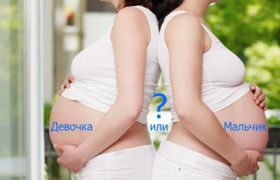 Беременность девочкой и мальчиком: отличия